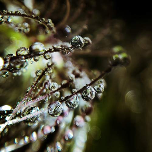 Photo #13344616