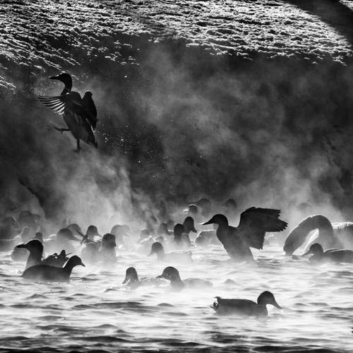 Photo #13344644