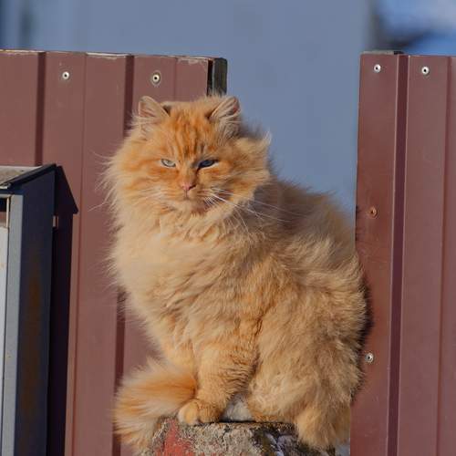 Photo #13344668