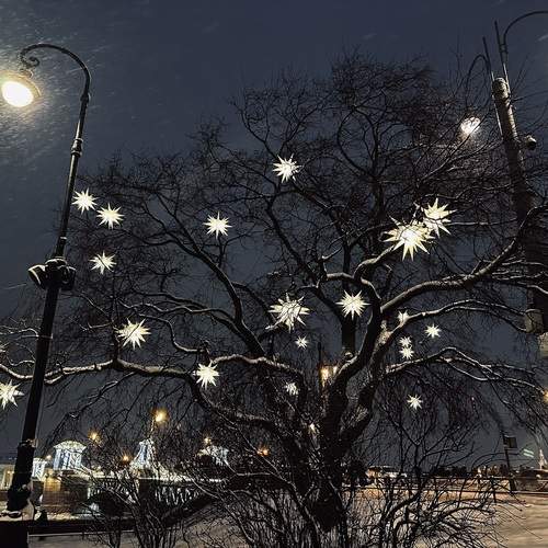 Photo #13344683