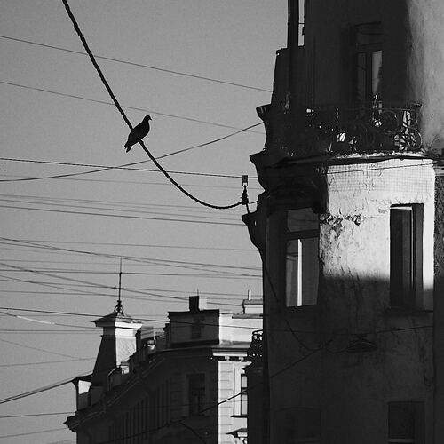 Photo #13344814