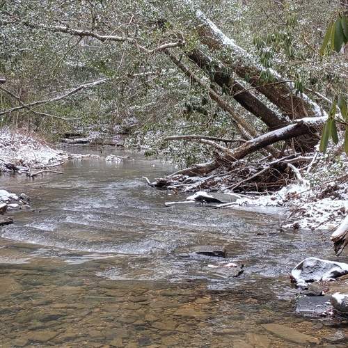 Photo #13344851