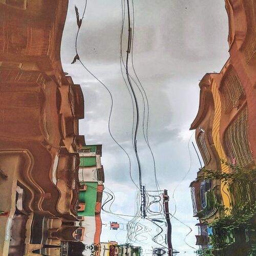 Photo #13344860