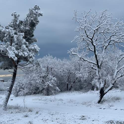 Photo #13344926