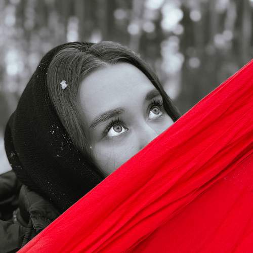 Загадка за красной завесой