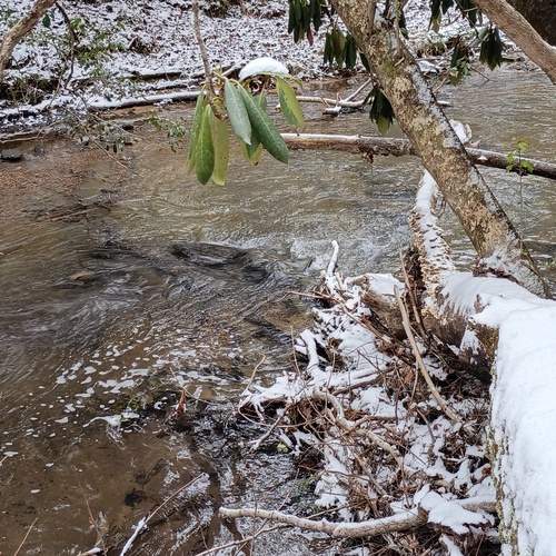 Photo #13345006