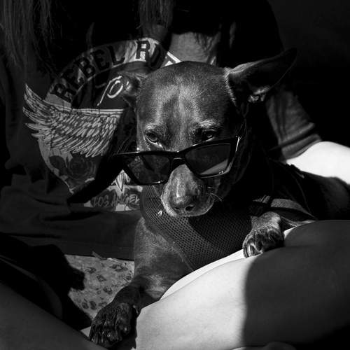 Photo #13345169