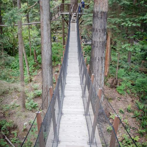 Photo #13345184