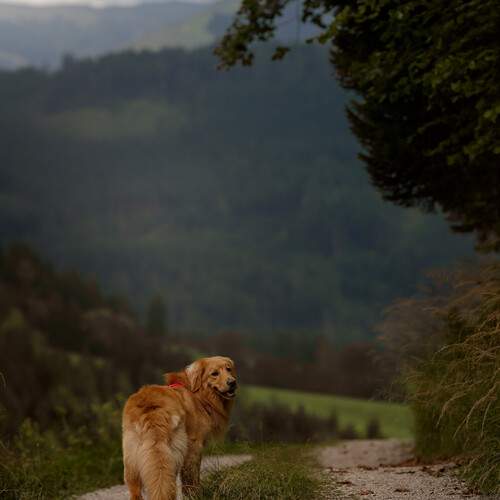 Photo #13345223