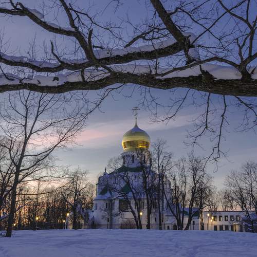 Фотография #13345260