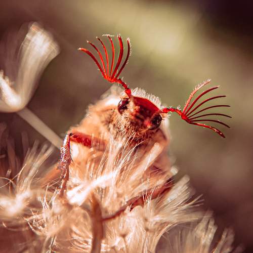 Photo #13345309