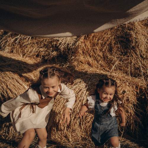 Photo #13345313