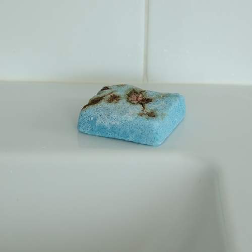 Photo #13345382