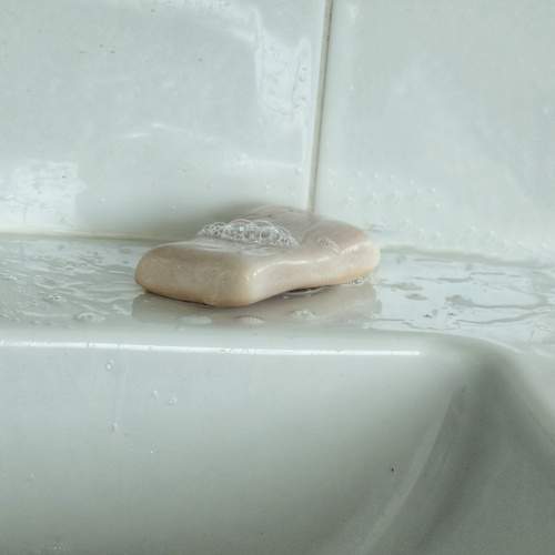 Photo #13345413