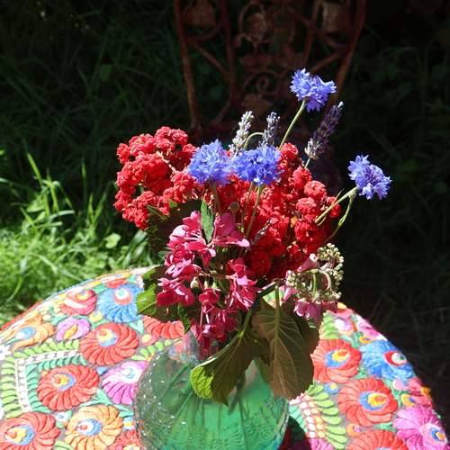 Photo #13345416