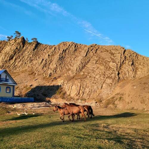 Photo #13345434
