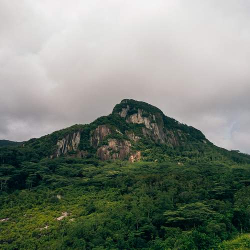 Photo #13345453