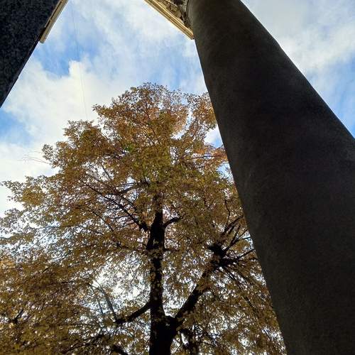 Photo #13345521