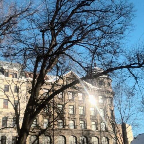 Photo #13345533