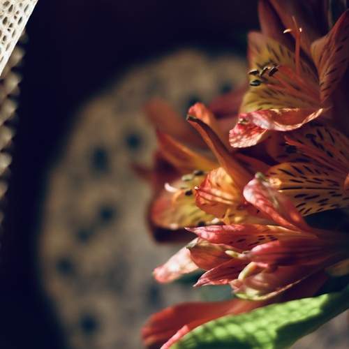 Photo #13345615