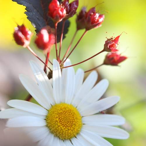 Photo #13345616