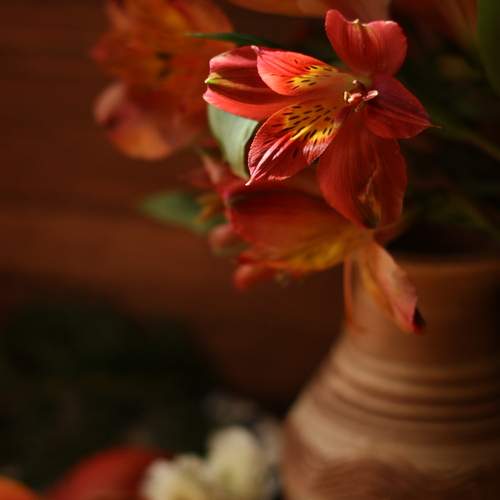 Photo #13345619