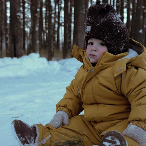 Photo #13345724