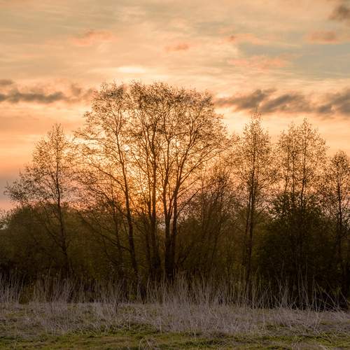 Photo #13345772