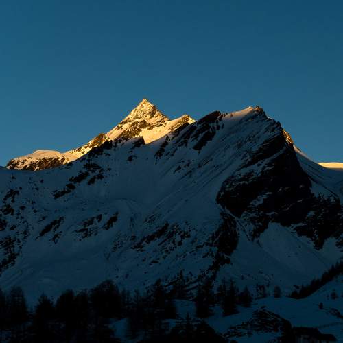 Photo #13345792