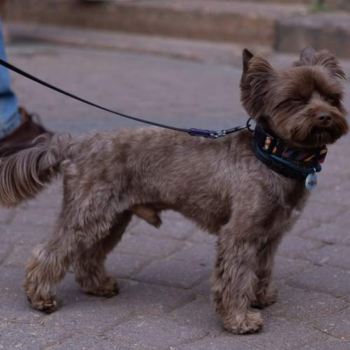 Photo #13345893