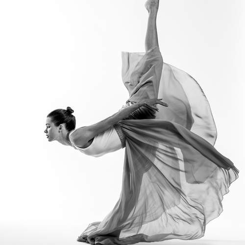 Photo #13346049