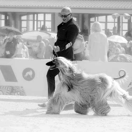 Photo #13346052