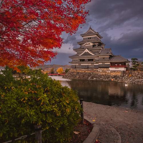 Photo #13346135
