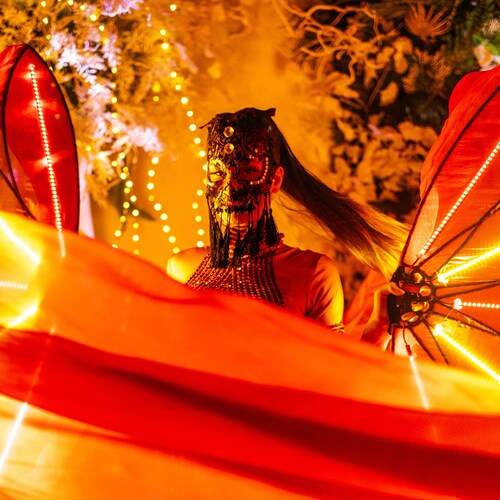 Photo #13346323