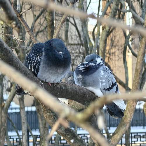 Photo #13346409