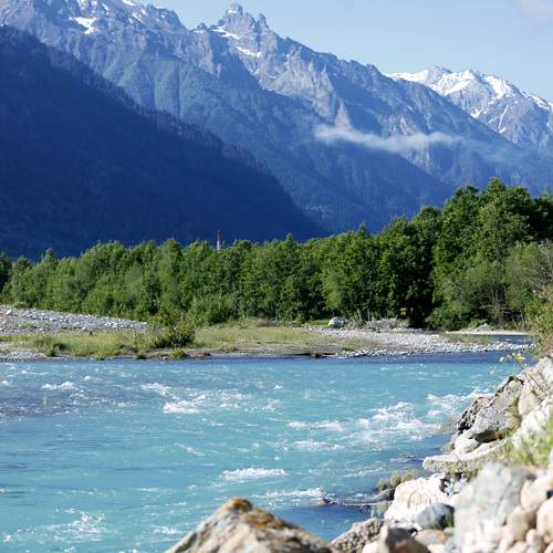 Photo #13346423