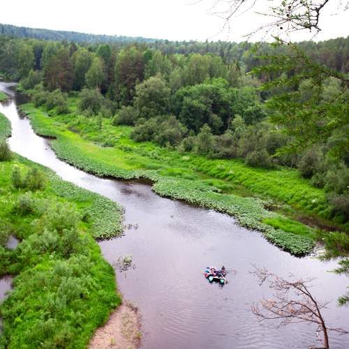 Photo #13346490