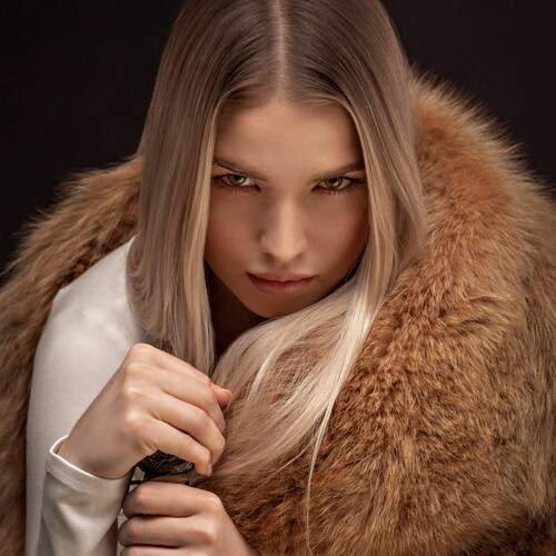 Photo #13346579