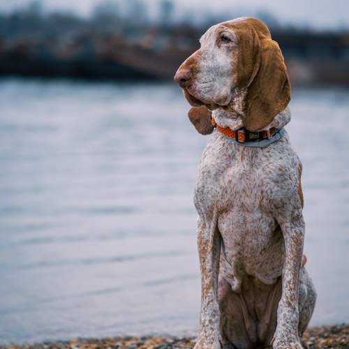 Фотография #13346608