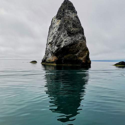 Photo #13346619