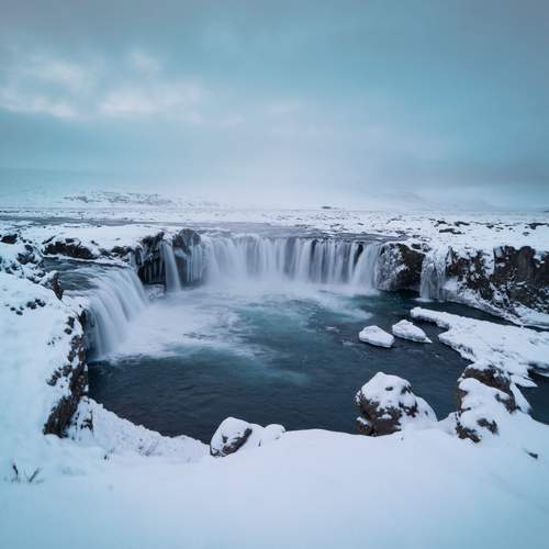 Photo #13346634