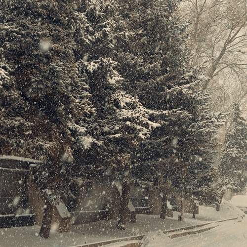 Photo #13346641