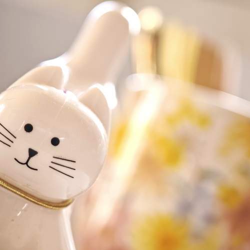 Photo #13346662