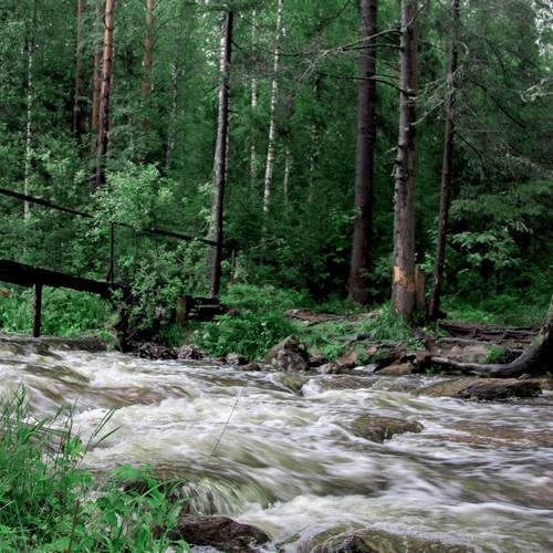 Photo #13346668