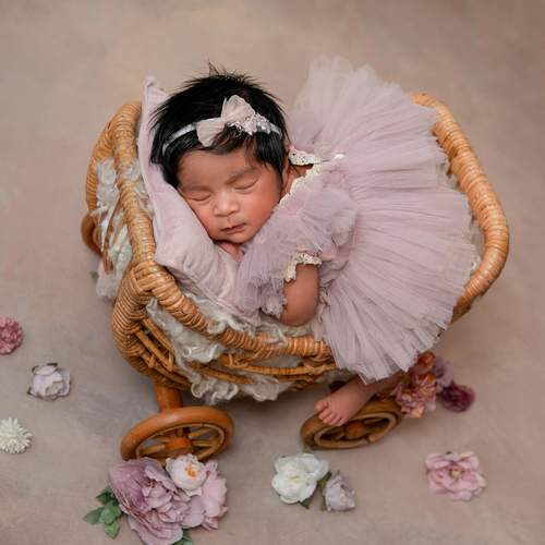 Фотография #13346693