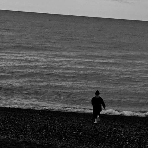 Photo #13346699