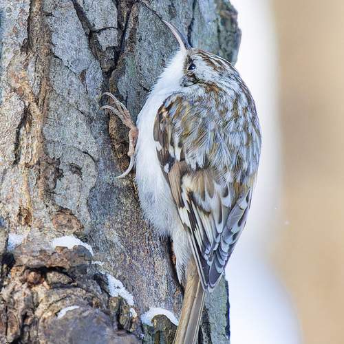 Фотография #13346749