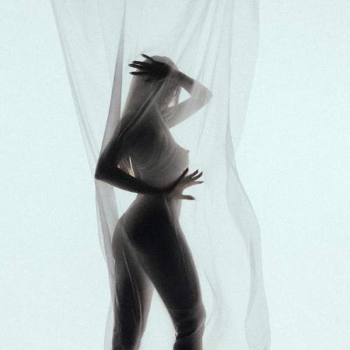 Photo #13347033