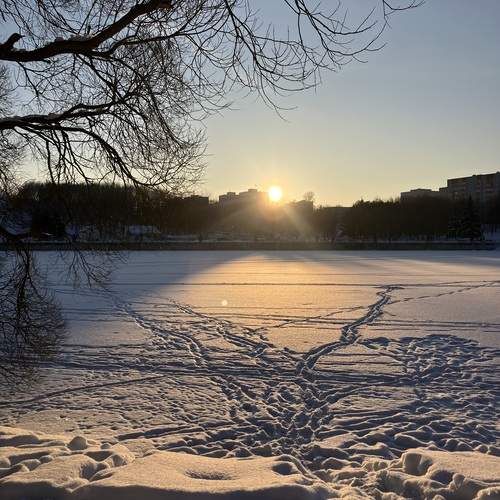 Photo #13347071