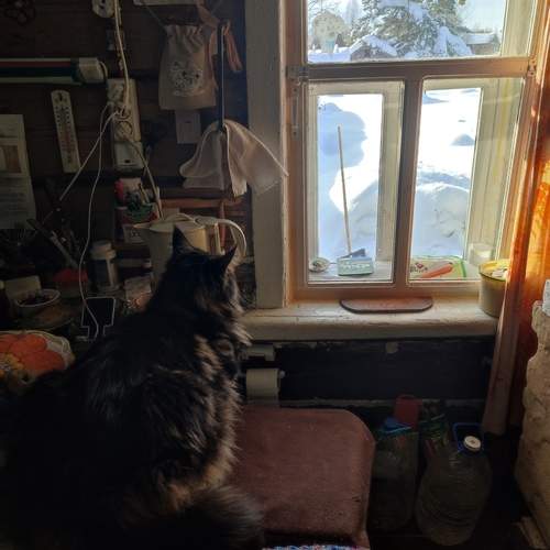 Photo #13347091